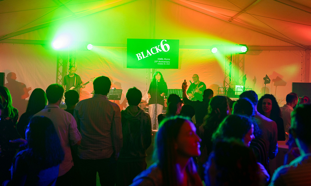 EMBLRome's tweet image. It was a huge pleasure to celebrate our silver anniversary with staff, alumni and friends of EMBL Rome!
We looked back with emotion at 25 years of challenges and achievements through the stories of our alumni, who are the roots of this site.
Thank you for being with us!