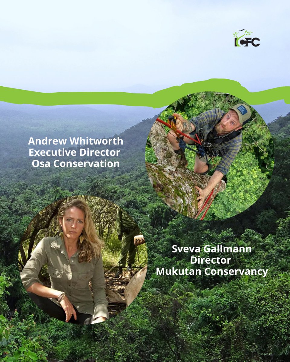 ICFC (@icfc_for_nature) on Twitter photo 🗓 Just 1 day until Voices from the Field!
Join us to hear firsthand from conservationists making a global impact:
🌿 Dr. Andrew Whitworth, Exec. Director of <a href="/osaconservation/">Osa Conservation</a>
🌿 Sveva Gallmann, Director of Kenya's Mukutan Conservancy
RSVP now!
🔗 lnkd.in/gDV3rmET 🗓 Just 1 day until Voices from the Field!
Join us to hear firsthand from conservationists making a global impact:
🌿 Dr. Andrew Whitworth, Exec. Director of <a href="/osaconservation/">Osa Conservation</a>
🌿 Sveva Gallmann, Director of Kenya's Mukutan Conservancy
RSVP now!
🔗 lnkd.in/gDV3rmET