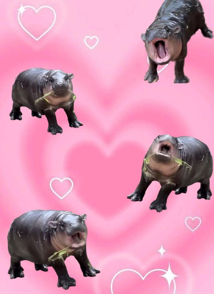 MooDengSOL's tweet photo. Gmoodeng! 💗🫶🦛

Congratulations to our partner account reaching 100,000 followers on @X!

#moodeng https://t.co/wCmG60jqPS