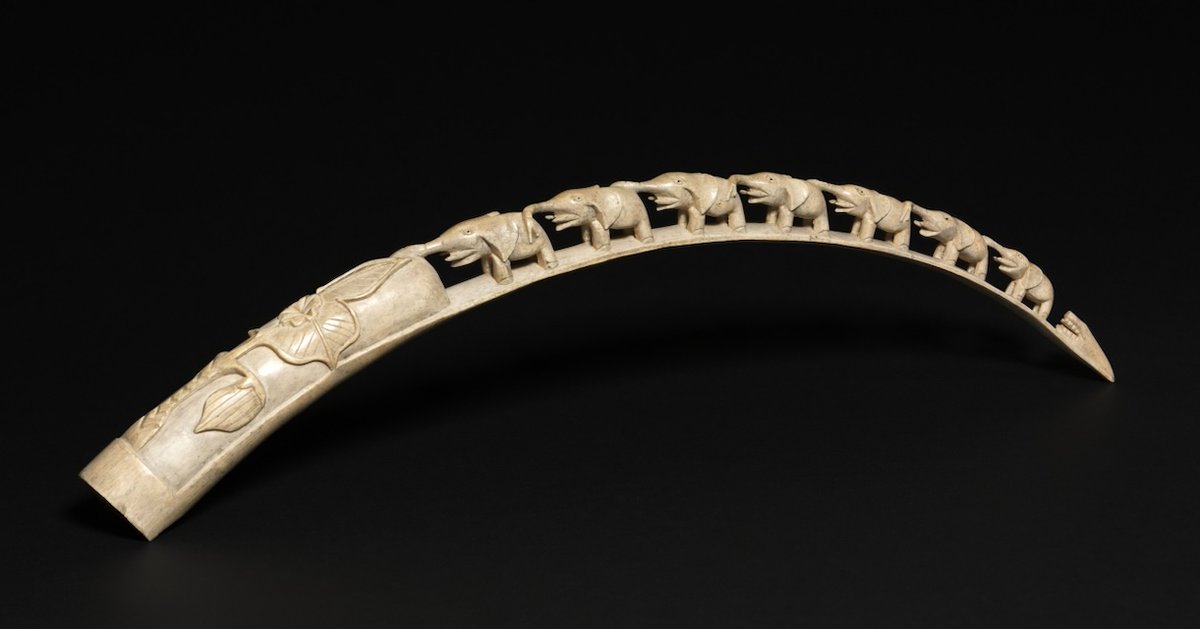 Patrícia Chrzanová Pečnerová (@patriciachrzan) on Twitter photo ▪️ Open postdoc position ▪️ 🔎🧬🐘
I'm recruiting a postdoc to work with me on mapping the genomic legacy of the elephant ivory trade in Europe using ancient DNA.
Hosted by Lund University 🇸🇪 with <a href="/BengtHanssonLU/">Bengt Hansson</a>
Please RT!
Info & apply here: lu.varbi.com/en/what:job/jo… ▪️ Open postdoc position ▪️ 🔎🧬🐘
I'm recruiting a postdoc to work with me on mapping the genomic legacy of the elephant ivory trade in Europe using ancient DNA.
Hosted by Lund University 🇸🇪 with <a href="/BengtHanssonLU/">Bengt Hansson</a>
Please RT!
Info & apply here: lu.varbi.com/en/what:job/jo…