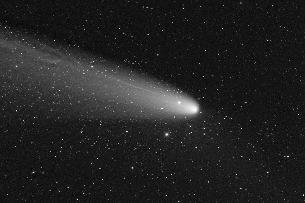 Dave_StarGeezer's tweet photo. While the weather seems to be against me at home, @tyseren gave me access to some very nice @comet_chasers @faulkestel comet data for C/2023 A3 to process. This is the result of an image taken last night on @LCO_Global 0.4m telescope. https://t.co/JCrkRtBRxT