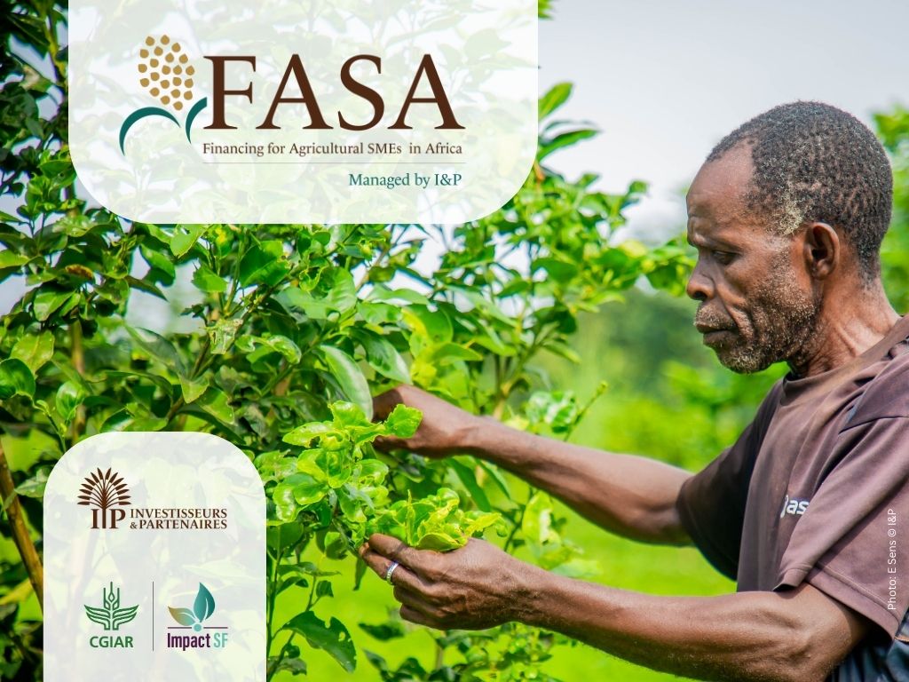 🔬Science+Finance = Impact
Financing for Agricultural Small and Medium Enterprises in Africa (FASA) Fund exemplifies how climate-smart investments &amp; scientific insights can transform food systems &amp; support smallholders🌾
🔗fasafund.com
#ClimateSmart #SustainableFinance