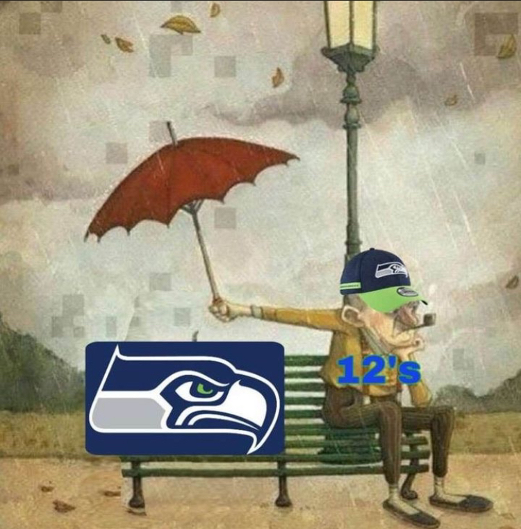 The #Seahawks may have embarrassed the #12s but we still love you.