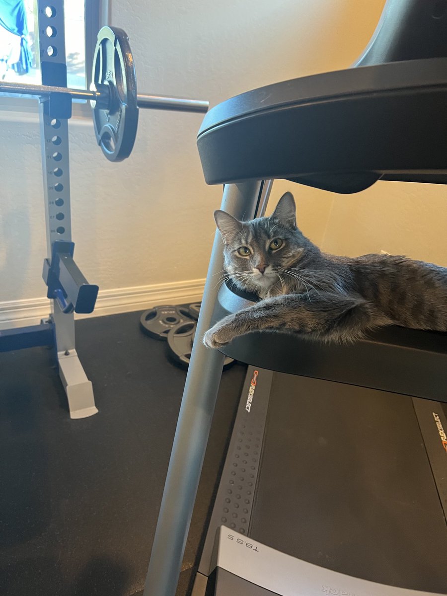 SMCWpg's tweet image. Find workout partners that show up no matter what❤️ #cooperandpepper