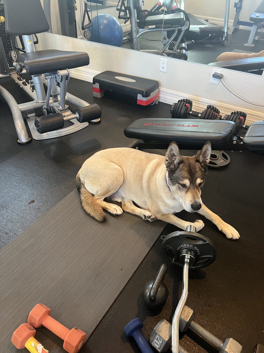 SMCWpg's tweet image. Find workout partners that show up no matter what❤️ #cooperandpepper
