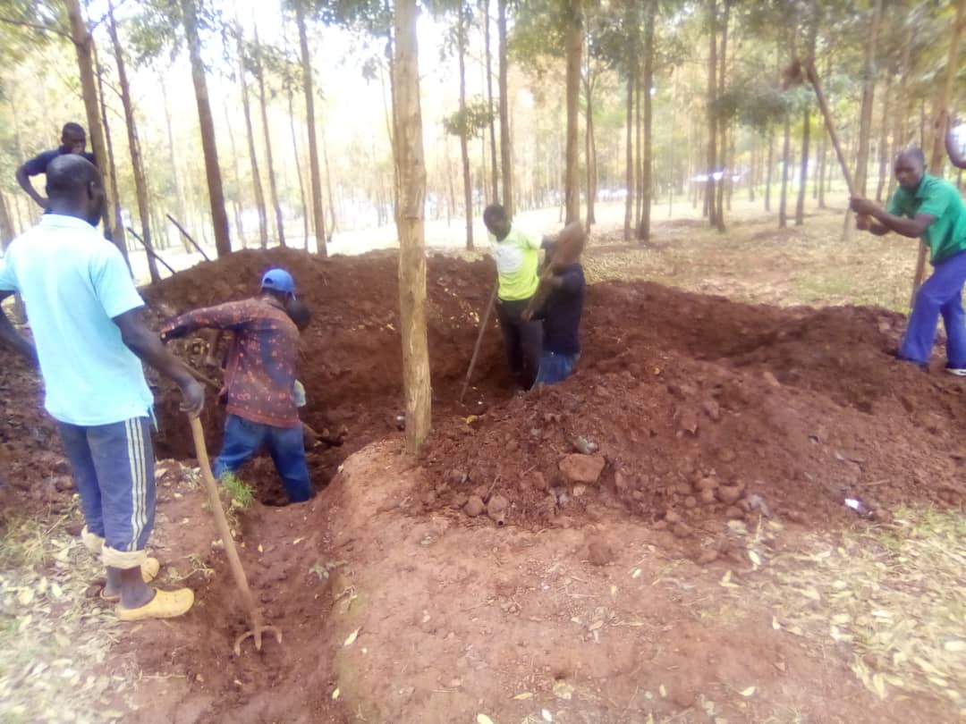 Fumbwe Sector tweet media