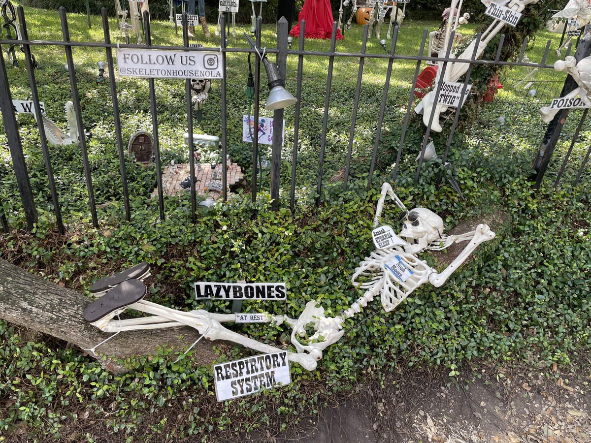 trinirastagunds's tweet photo. Getting ready for Halloween at the Skeleton House on St Charles Street in New Orleans
#neworleans #NOLA #halloween #stcharlessstreet #skeletonhouse https://t.co/djsKEcLcLS