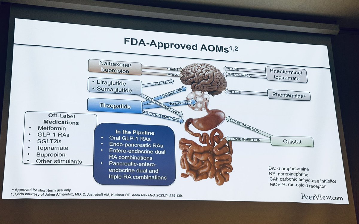 Alison L. Bailey, MD (@a_l_bailey) on Twitter photo Phenomenal talk about risks of ⬆️ weight and how to treat #obesity. at ACC by the Sea. <a href="/ErinMichos/">Erin D. Michos, M.D.</a> tells us there is no such thing as metabolically healthy obesity! The time to treat is NOW! Phenomenal talk about risks of ⬆️ weight and how to treat #obesity. at ACC by the Sea. <a href="/ErinMichos/">Erin D. Michos, M.D.</a> tells us there is no such thing as metabolically healthy obesity! The time to treat is NOW!