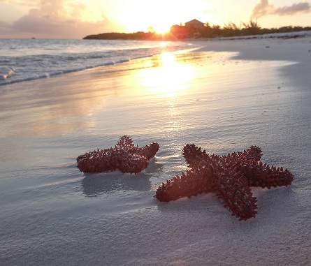 Travitinerary's tweet photo. Turks and Caicos https://t.co/KnZgoV83A3