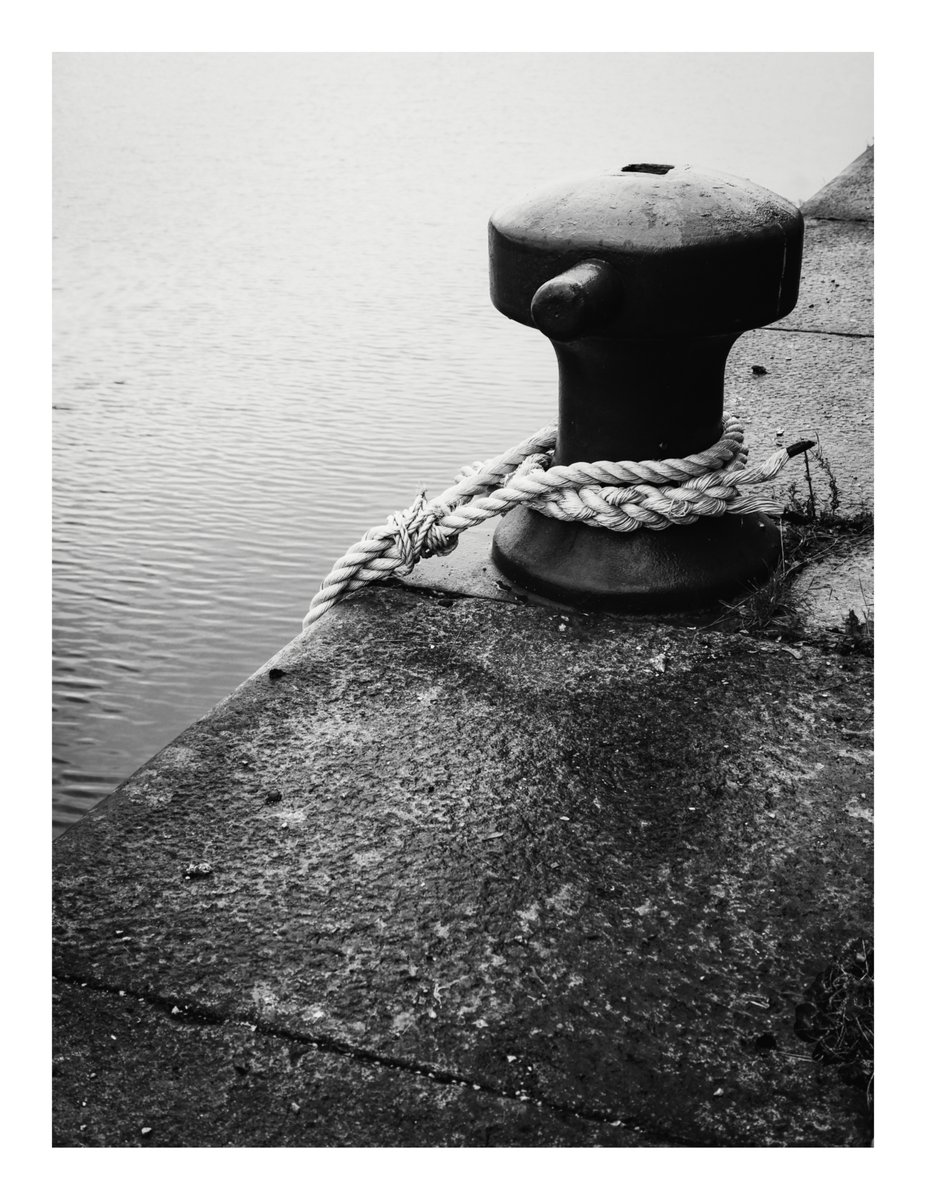 clcart's tweet photo. rope
(day 55)
#photography #Gallery365in2024 #OneCameraOneLens #photooftheday #blackandwhitephotography #365project #streetphotography #Gallery365in2024SaturdayMono
https://t.co/oem1e9XvJ9 https://t.co/2wHMVCv5fX