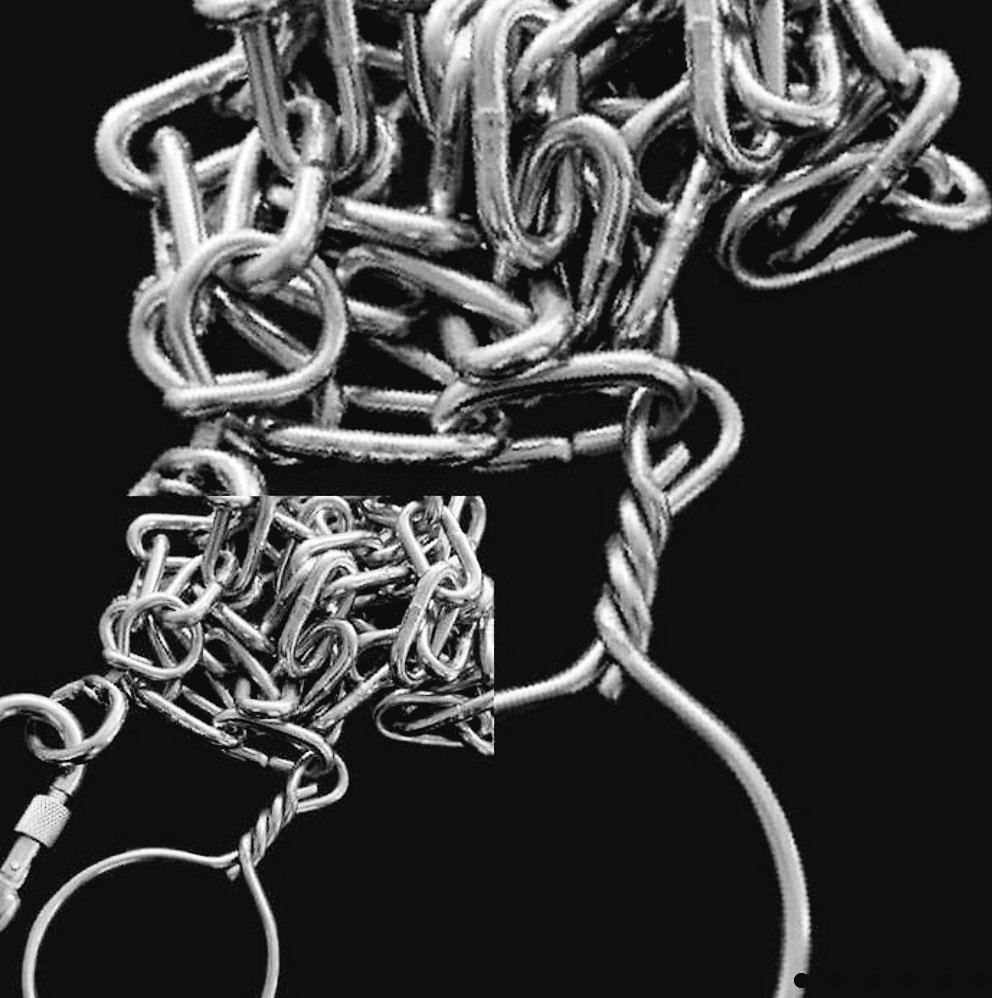 프로필 사진은 넣을수가 없어요?
백번해도 프사를 넣을수가 없어...ㅠㅠ