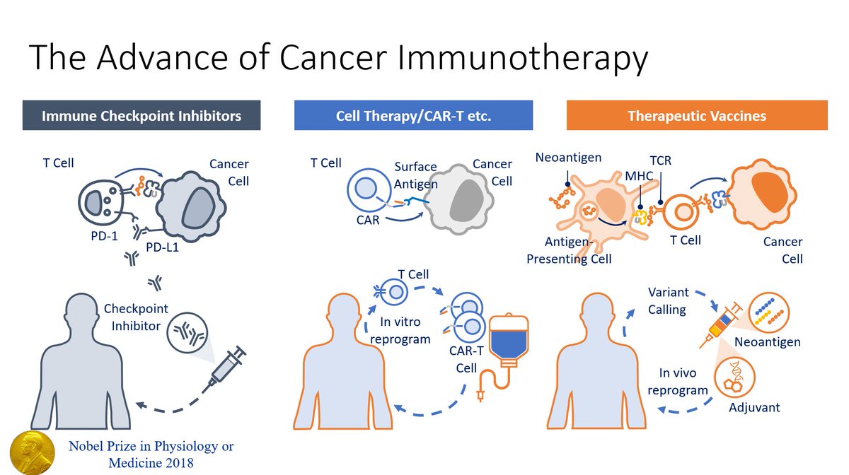 HHorinouchi's tweet photo. 🔥#ACLC24 @IASLC Asia🌏
🗣️Plenary 2: Frontiers in Lung Cancer Therapy: Addressing Today's Challenges and Tomorrow's Solutions
✅Chairs: @t_mitsudomi Dr. Jie Wang
🎙️Dr. Jiandong Huang
🎯Therapeutic Cancer Vaccines
#LCSM @OncoAlert
https://t.co/QiYCsV1ovI https://t.co/CwckPC2RmL