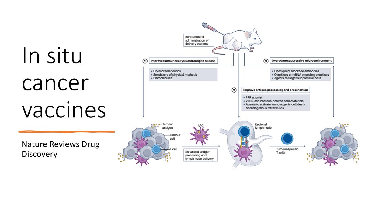 HHorinouchi's tweet photo. 🔥#ACLC24 @IASLC Asia🌏
🗣️Plenary 2: Frontiers in Lung Cancer Therapy: Addressing Today's Challenges and Tomorrow's Solutions
✅Chairs: @t_mitsudomi Dr. Jie Wang
🎙️Dr. Jiandong Huang
🎯Therapeutic Cancer Vaccines
#LCSM @OncoAlert
https://t.co/QiYCsV1ovI https://t.co/CwckPC2RmL