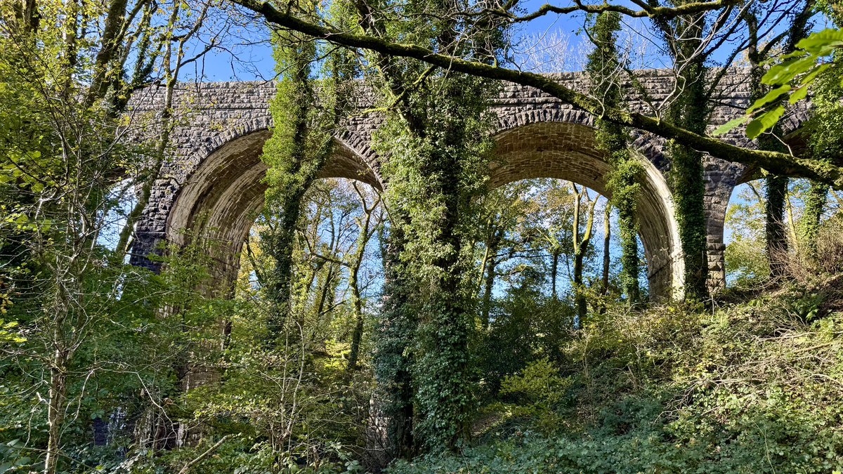 GrahamMuz's tweet photo. More #lswr viaducts and bridges #railwayheritage this time around 34106 https://t.co/0484X36vYI