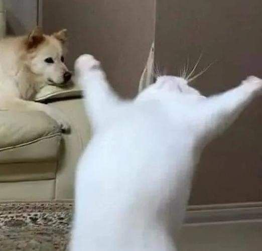 emergencyeon's tweet photo. nan ibeul beollyeotdamyeon i bite that, if you take a bite, then i bite back, bite back bite back bite back. https://t.co/FUiwI9DFsU