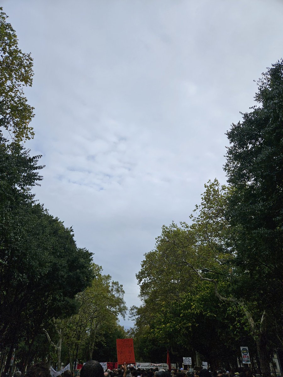 Fabian Figueiredo 🍉 tweet media