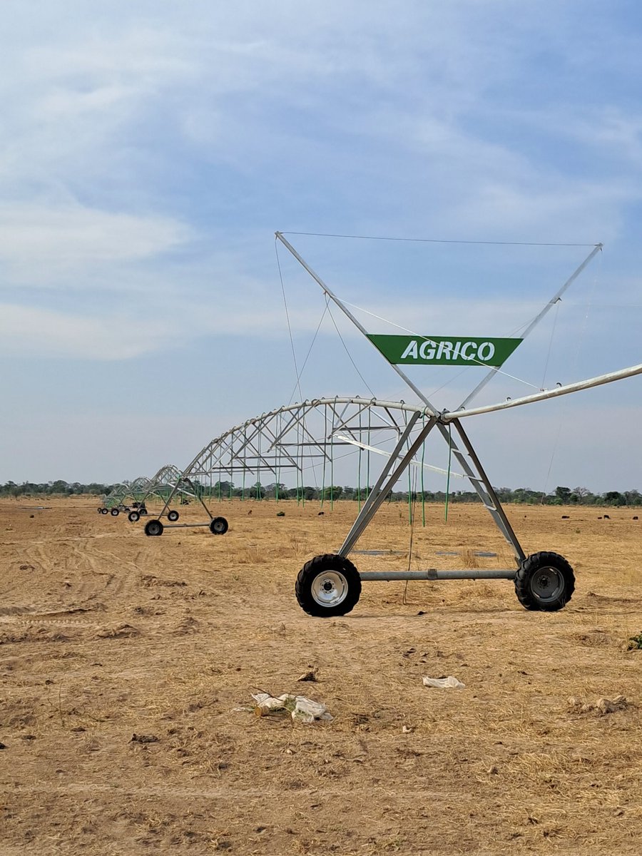 Pivot installation almost done. In 2 weeks we plant tobacco on the 60 ha land.