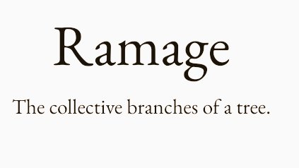 More Words for the Weekend 🥳

Choose your champion 💫

A B
C D
