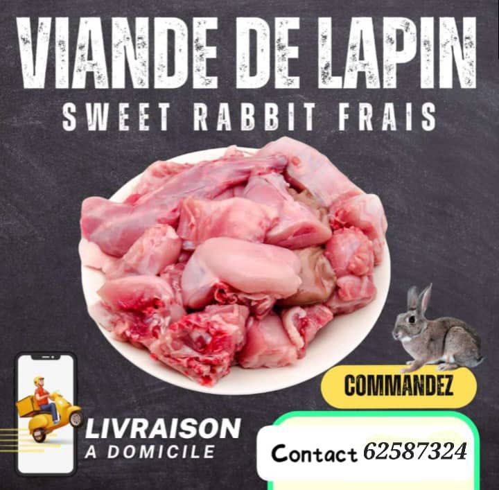 lubaczeus's tweet photo. Le goût délicat et savoureux du lapin, une viande tendre qui se prête à toutes vos recettes. Optez pour une alternative gourmande, saine et surprenez vos invités avec une cuisine pleine de caractère. Disponible ici, les amis ! https://t.co/zQzmH1WEDq