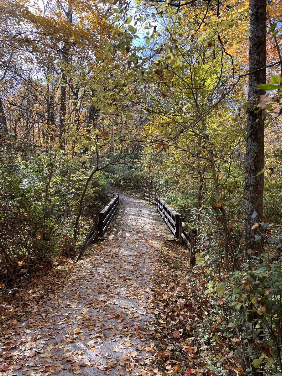rfballinger's tweet photo. Great day for a hike and a great day to Beat Sparty https://t.co/TJna0ztkHu