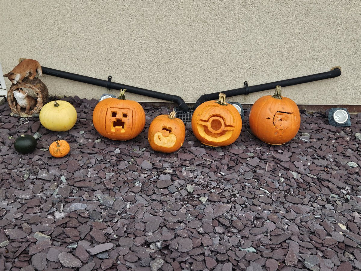 Vulpix2108's tweet image. Pumpkins done 🎃