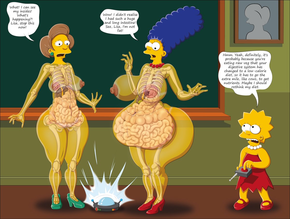 Bynshy's tweet photo. Simpson's Anatomy-2 https://t.co/dHU1ozgVGm