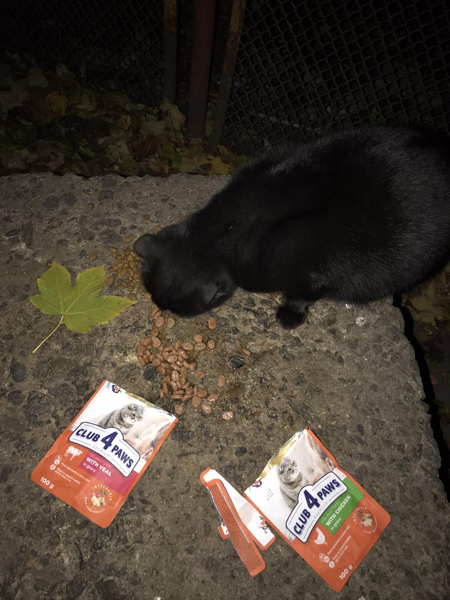 binas1976's tweet photo. Вечеря https://t.co/JXWUOBJSrm