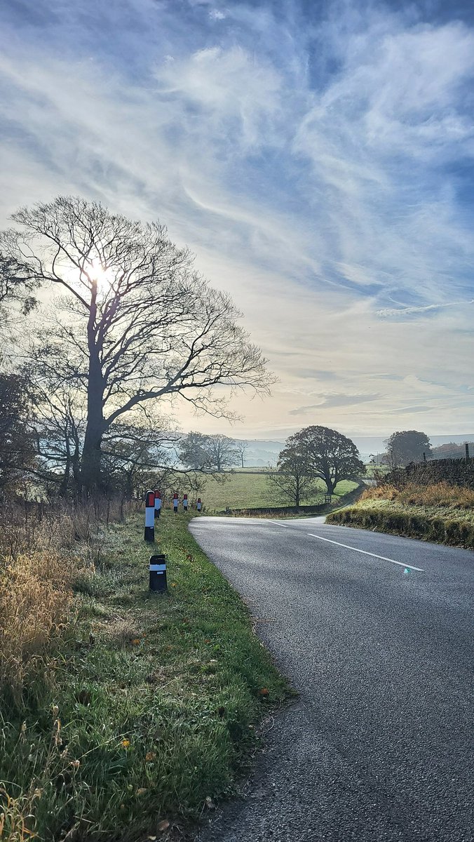 Zoë Westerman 🏴󠁧󠁢󠁷󠁬󠁳󠁿 tweet media