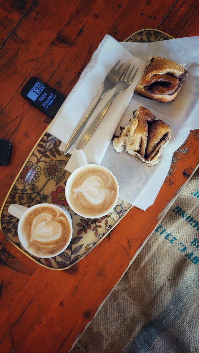 Zoë Westerman 🏴󠁧󠁢󠁷󠁬󠁳󠁿 tweet media