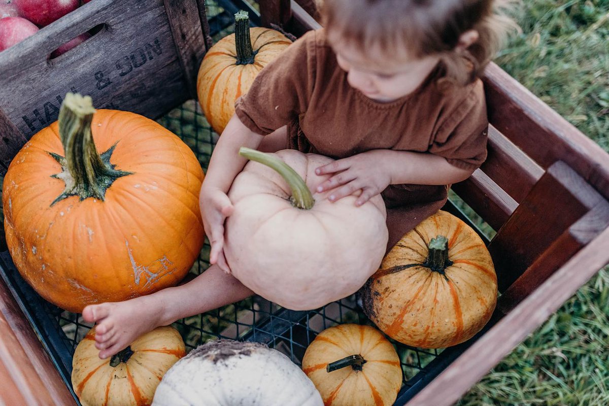 Crisp air, colorful leaves, &amp; unforgettable events await you this fall in KCK! Immerse yourself in the culture, flavors, &amp; beauty with festive celebrations, spooky fun, scenic strolls, &amp; more! Check out our round up at visitkansascityks.com/blog/post/kans…