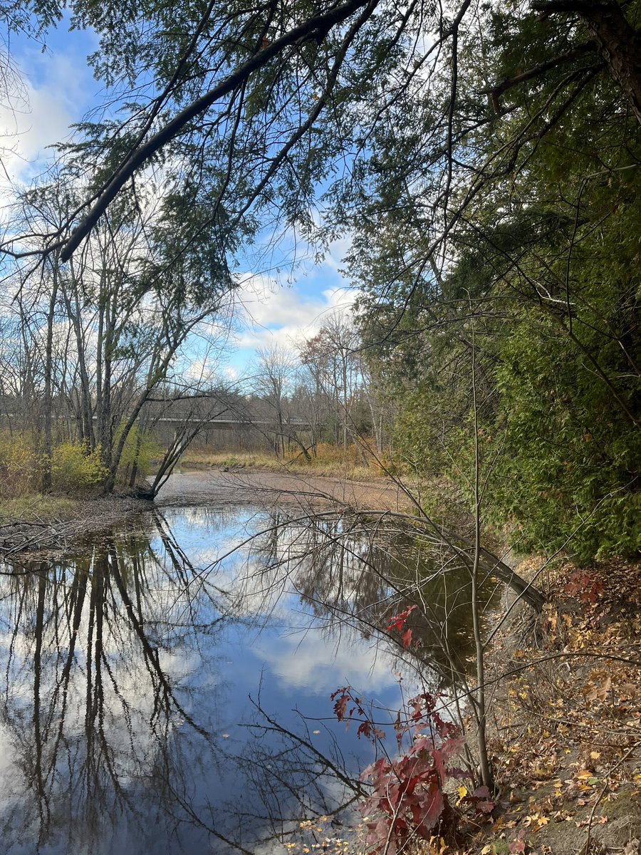 ArbeiterRichard's tweet photo. Ottawa River Path, 8am, Saturday October 26, 2024.

🏃🏽‍♀️🏃🏻🏃🏾‍♂️🏃🏾‍♀️🏃🏻‍♂️🏃🏼

#NaturePhotography 📷
#WeekendLongRun 
#AutumnVibes https://t.co/77icWgPPVI