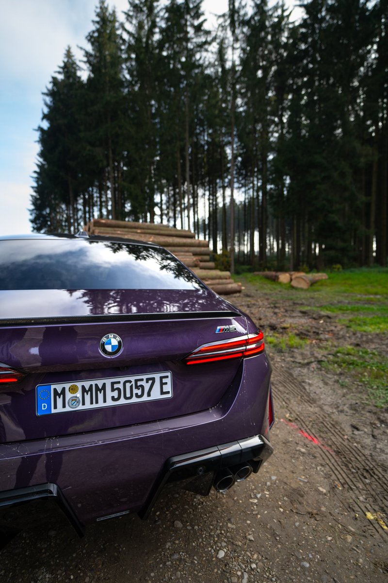 Raziz Roken Rehan tweet media