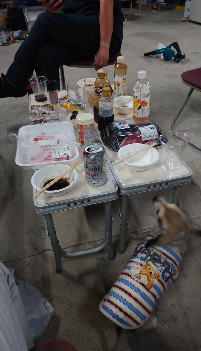 hiroaki40632's tweet image. みんなに遊んでもらって良かったね〜
Uo･ｪ･oUこまち
#BMOC
#BMOCofficial