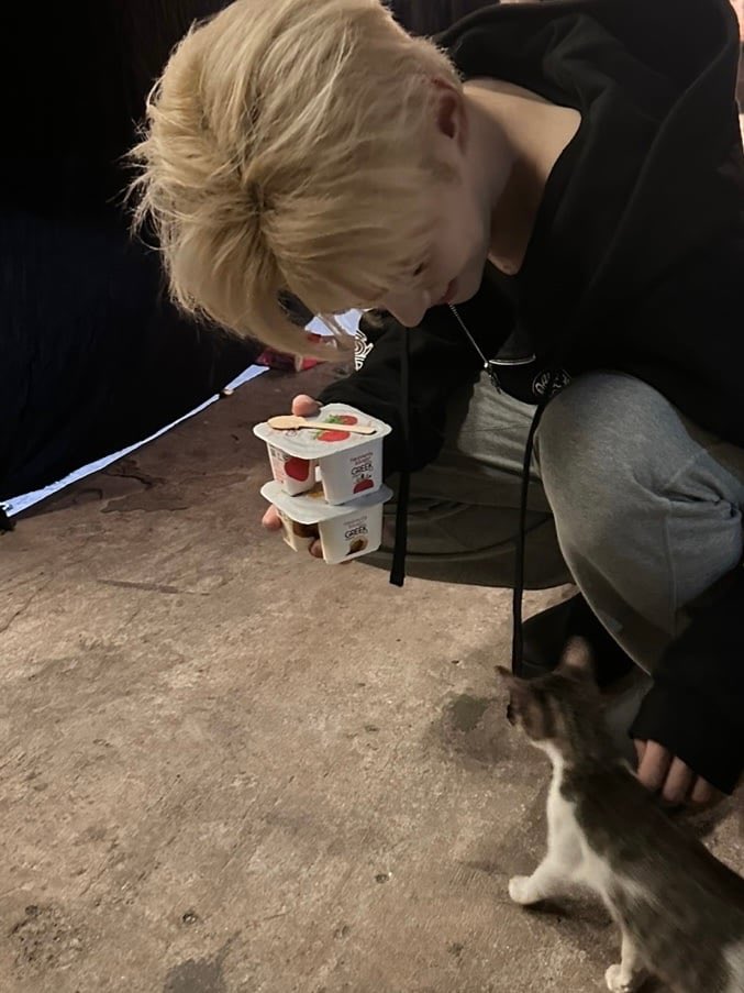 🐇 (@haobunnie) / Posts / X