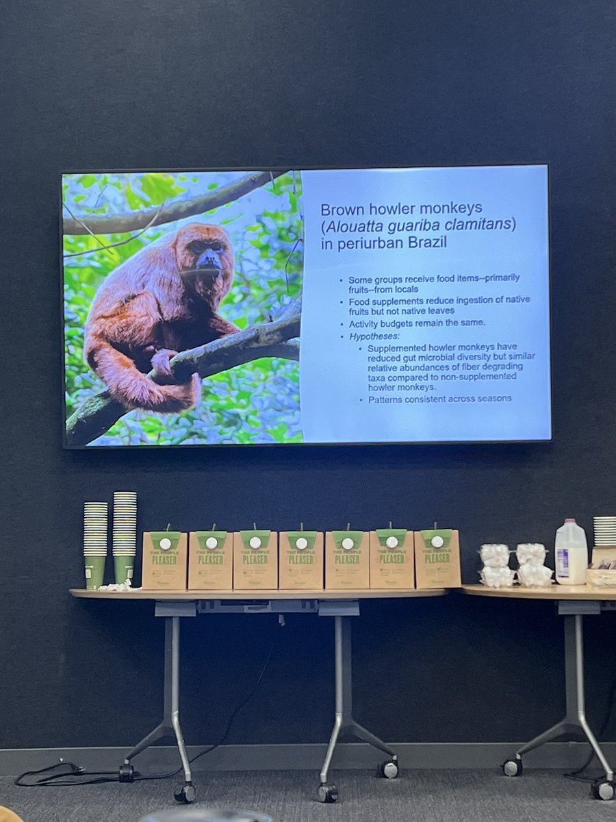 Midwest Primate Interest Group tweet media