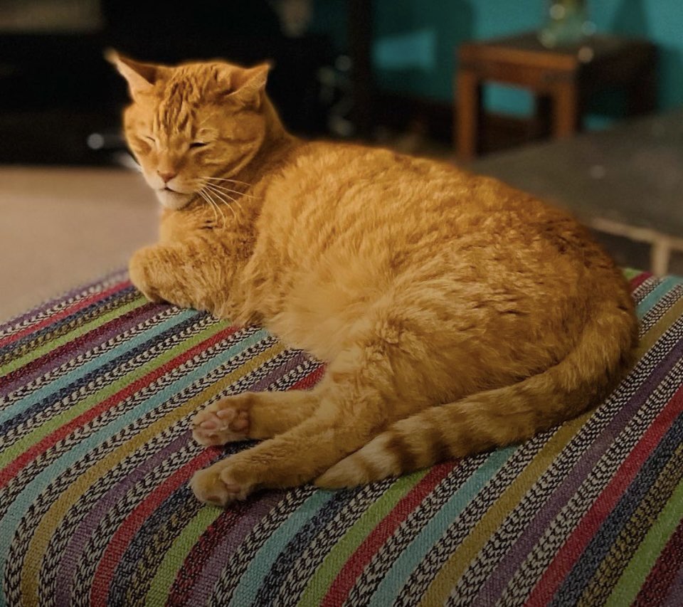 Heather Noble tweet media