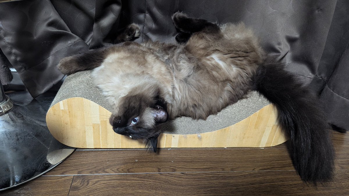 ぐるぐるしてます😊