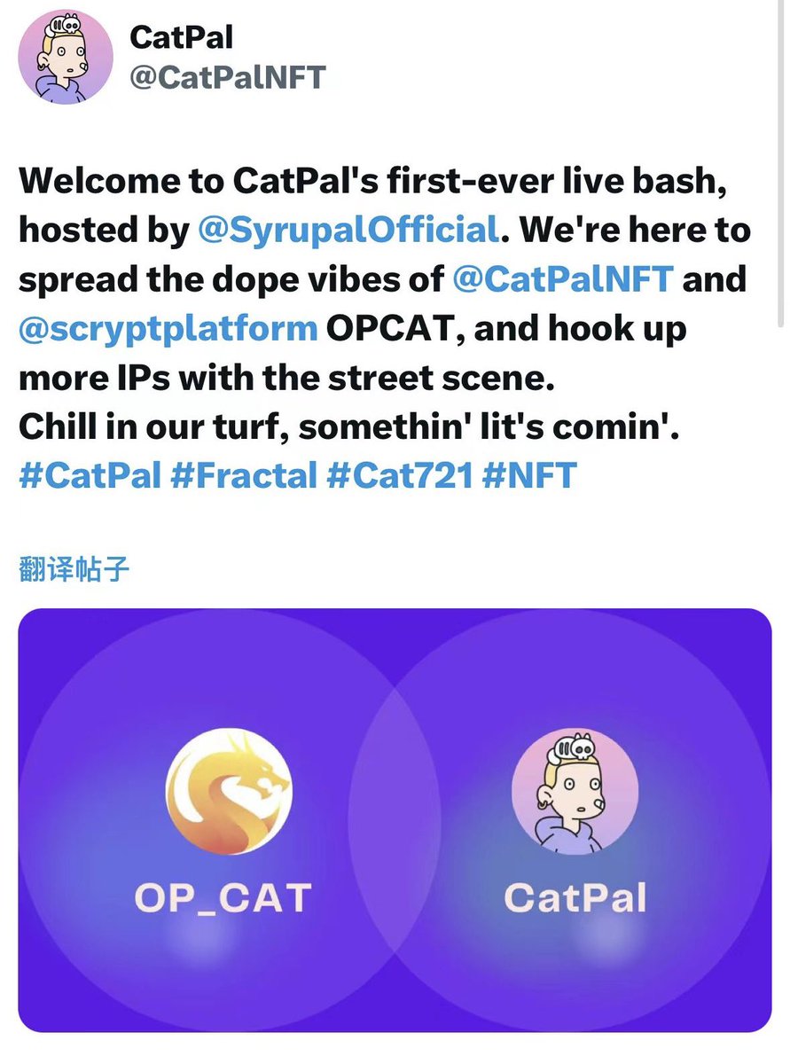 PufffDad's tweet image. Oi , Still early , follow @CatPalNFT . Ah ha .