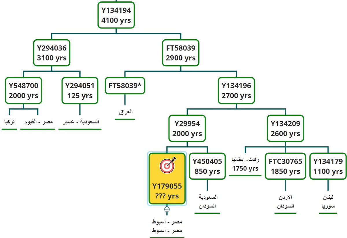 j2b-M205 tweet media