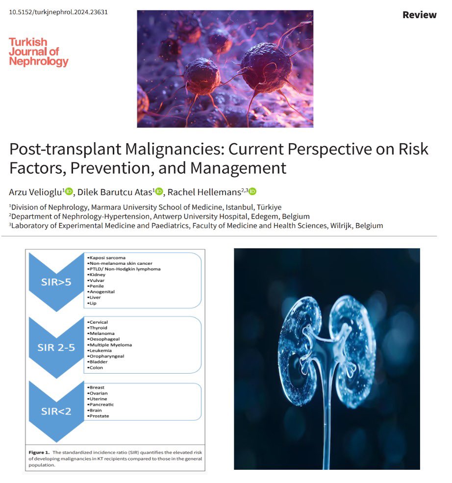 turkjnephrol's tweet image. This review article aims to discuss pathophysiological mechanisms, review guidelines, and provide information on the incidence and management options for various cancers.#posttransplant #malignancy 🏥⚕️
