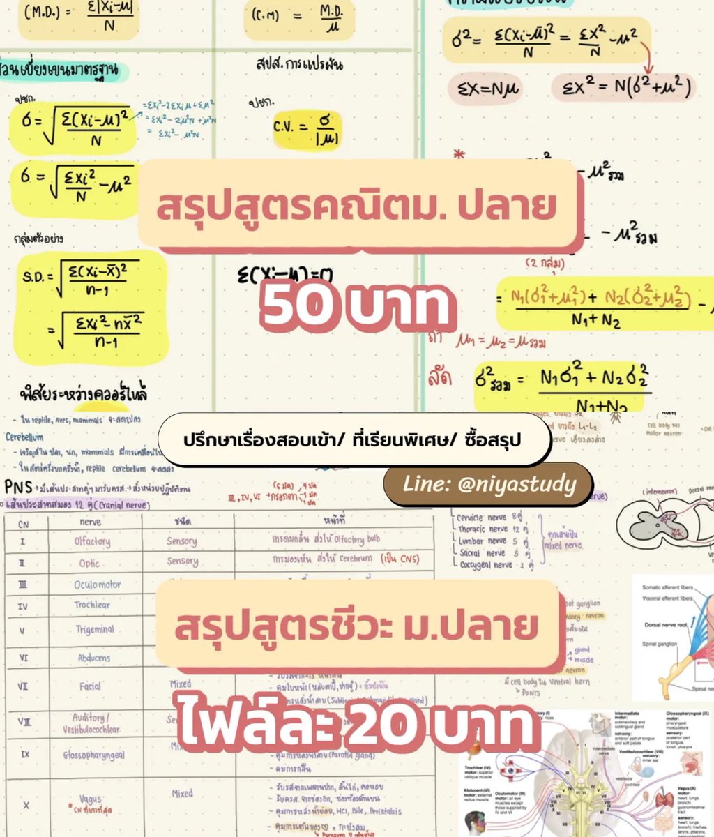 ‼️เปิดเกรดหมอจุฬา ปี2

📚ปี2 เราจะได้ผ่าอาจารย์ใหญ่ ดู anatomy กล้ามเนื้อ เส้นเลือด เส้นประสาท อวัยวะในร่างกาย ควบคู่ไปกับการเรียน physiology ของระบบต่าง ๆ ในร่างกาย รวมไปถึงเรียนโรคที่เกิดจากความผิดปกติ
  #หมอจุฬา #DEK68 #เรียนหมอ #ALEVEL68
