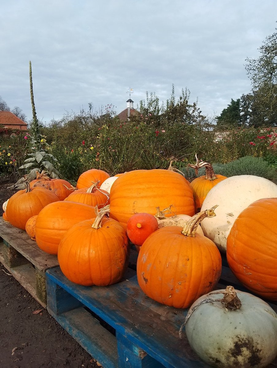 Triathlete Mama tweet media