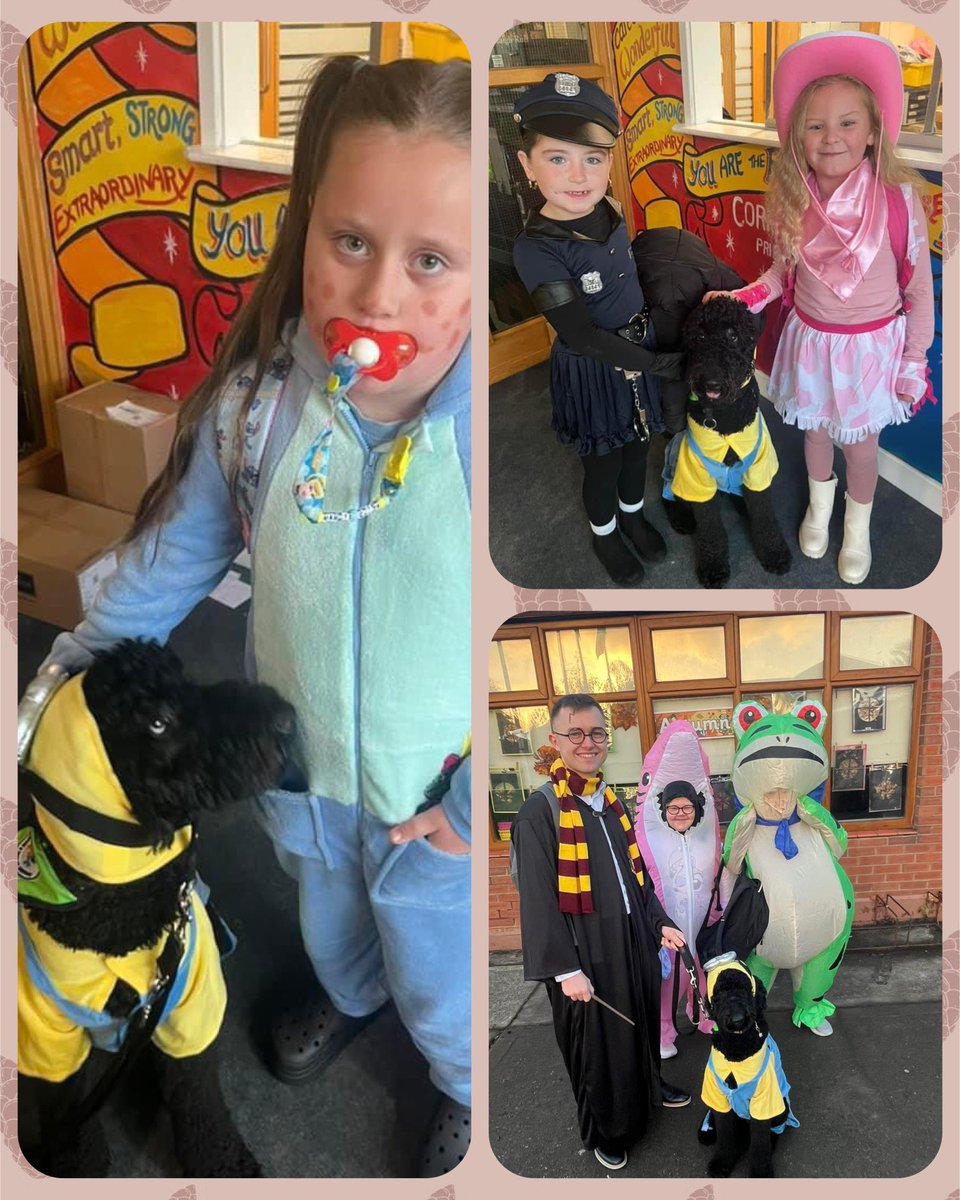 CMoyross's tweet photo. 🐾 Halloween magic was in full swing with our fab school dog, Uni, joining in on the fun! Uni brought smiles to everyone she met, from princesses to vampires. Our students loved showing off their costumes alongside their furry friend!#BestDressed 🐶🎃 #TeamMCC @mycaninecompani https://t.co/3P7IXX9ThH