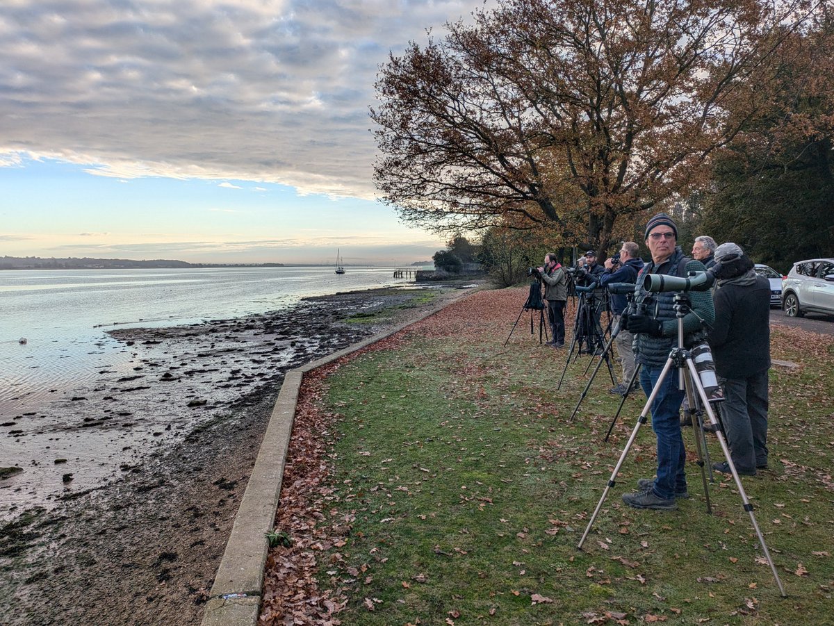 martgathercole's tweet photo. Great early morning light for @EBwSTweets #BCBW at Mistley. Expert guiding from @stuttonsparrows @SwallowBirding @ESBR_Essex & good company allowed me to see distant birds that I wouldn't have noticed as I was busy looking at the distant Cranes🏗️😂 More tomorrow 🥱🦢🪿🦆📸🔭 https://t.co/EUPLIGG3Wp