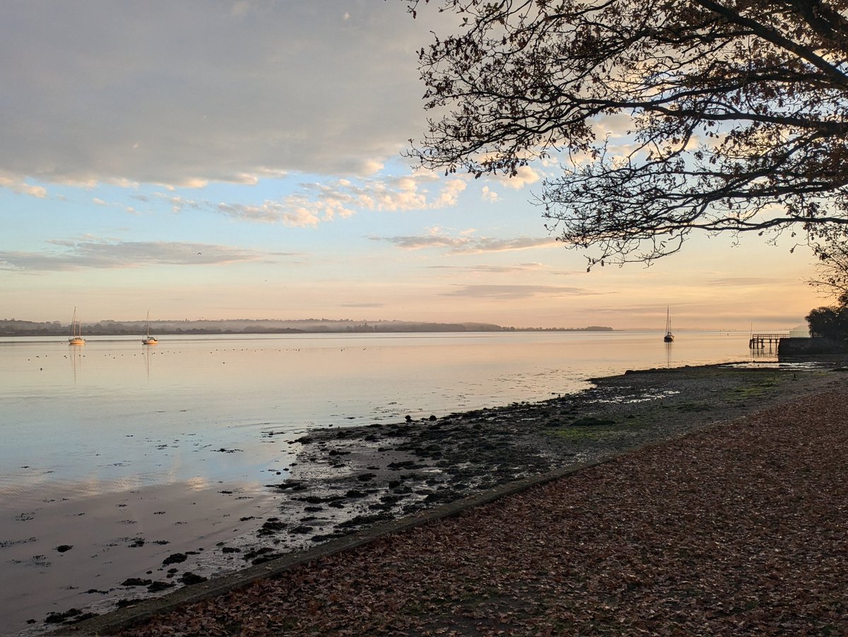 martgathercole's tweet photo. Great early morning light for @EBwSTweets #BCBW at Mistley. Expert guiding from @stuttonsparrows @SwallowBirding @ESBR_Essex & good company allowed me to see distant birds that I wouldn't have noticed as I was busy looking at the distant Cranes🏗️😂 More tomorrow 🥱🦢🪿🦆📸🔭 https://t.co/EUPLIGG3Wp