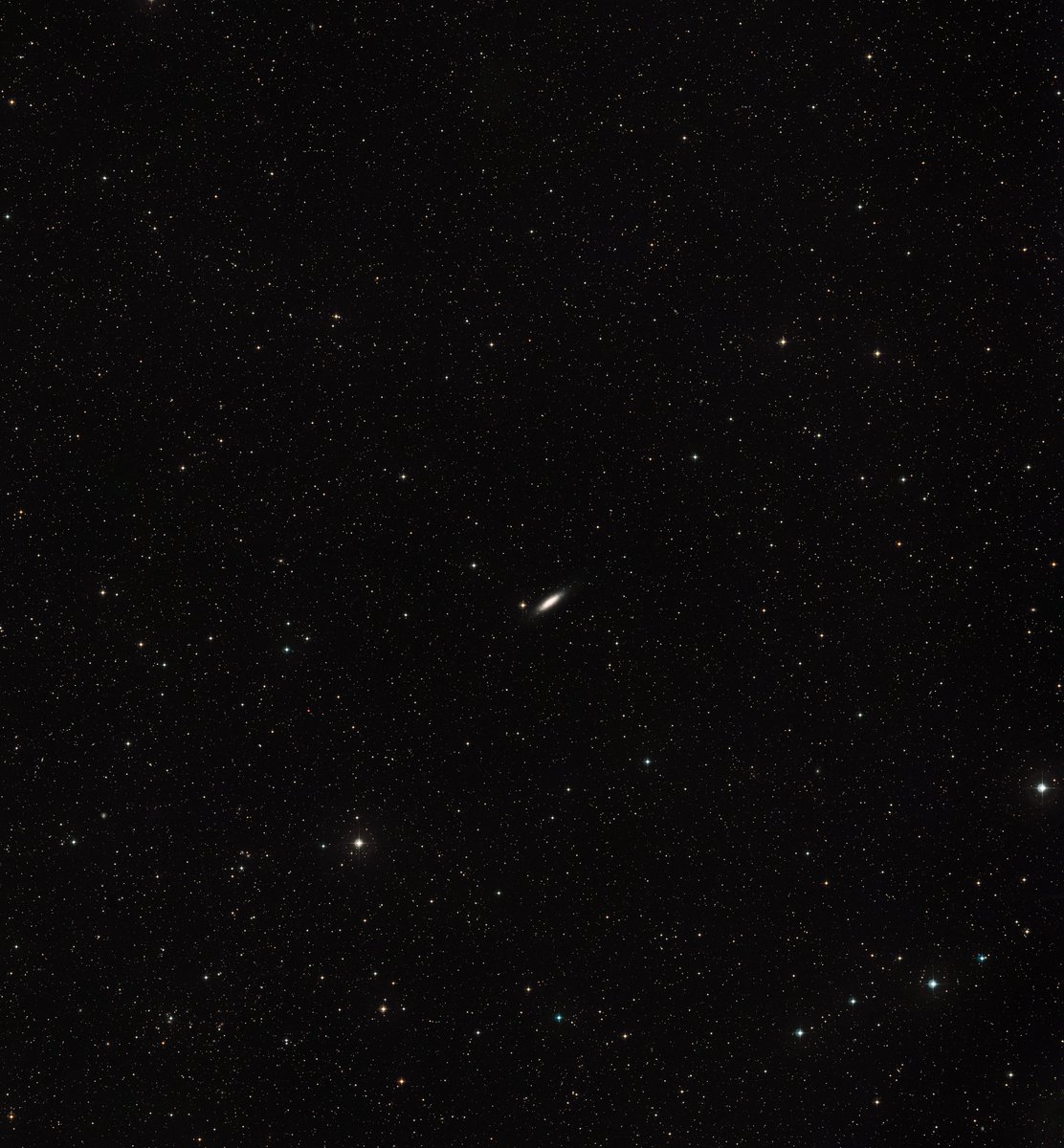 picard_224's tweet photo. ～今日のハッブル画像～2024-10-26【宇宙で迷子ハッブル宇宙望遠鏡による銀河 NGC 6503 の新しい画像】#りゅう座 #渦巻き銀河 #NGC6503 #宇宙 #銀河 #ハッブル  #NASA #picard
※♦画像左上：この NASA/ESA ハッブル宇宙望遠鏡の画像は銀河 NGC 6503 を示しています。約 1,800 万光年離れたこの銀河は、ローカル ボイドと呼ばれる奇妙に空虚な空間の端にあります。
この新しい画像では、以前の画像に見られた詳細に加えて、非常に豊かな色彩が表現されています。
※♦画像右上：NGC 6503 周辺（地上画像）この画像は銀河 NGC 6503 の周辺領域を示しています。約 1800 万光年離れたこの銀河は、ローカル ボイドと呼ばれる奇妙に空虚な空間の端にあります。
※♦動画左下：NGC 6503 にズームインこのビデオは、地上からの夜空の映像から始まり、その後、NASA/ESA ハッブル宇宙望遠鏡が捉えた銀河 NGC 6503 にズームインします。
約1800万光年離れたこの銀河は、局所的空洞と呼ばれる奇妙に空虚な空間の端にあります。クレジット：NASAとESA
※♦動画右下：NGC 6503 をパンするこのビデオは、NASA/ESA ハッブル宇宙望遠鏡による銀河 NGC 6503 の観測をパンで映し出しています。約1800万光年離れたこの銀河は、局所的空洞と呼ばれる奇妙に空洞化した宇宙空間の端にあります。
クレジット：NASAとESA

宙は広大に見えますが、ほとんどの銀河はグループまたはクラスターにまとまっており、隣の銀河が遠く離れていることはありません。しかし、NGC 6503 として知られるこの銀河は、ローカル ボイドと呼ばれる奇妙に空虚な空間の端に孤立した位置にあります。この新しい NASA/ESA ハッブル宇宙望遠鏡の画像は、以前の画像で見られた詳細に加えて、非常に豊かな色彩を示しています。

NGC 6503 は、りゅう座にあり、地球からわずか 1,800 万光年しか離れていないため、私たちの局部銀河群の中で最も近い銀河の 1 つです。その幅は 3 万光年で、天の川銀河の約 3 分の 1 の大きさです。この銀河の孤立した位置から、天文学者のスティーブン・ジェームズ・オメーラは、2007 年の著書「Hidden Treasures 」 [1]で、この銀河を「宇宙の迷い子銀河」と名付けました。

この銀河は詩的なインスピレーションを与えるだけでなく、現在も研究が続けられています。ハッブルレガシー エクストラギャラクティック UV サーベイ(LEGUS) は、NGC 6503 を含む近隣の銀河のサンプルを調査し、その形状、内部構造、および星の特性と動作を研究しています。この調査にはハッブルの 154 周回分の時間がかかります。対照的に、ハッブルの一般的な観測プログラムは、数周から数十周回分です。

ローカル・ボイドは、直径約 1 億 5000 万光年と考えられる空間の一部で、不思議なことに銀河が存在しないようです。ハッブル宇宙望遠鏡を使用した天文学者は、この領域の空虚さが私たちの周囲の空間にかなりの影響を与えていることを発見しました。つまり、天の川銀河は、他の近隣の銀河の穏やかだが容赦ない引力によって、この領域から強く引き離されているのです。

NGC 6503 は、この空間の端にあります。巨大なガスのハローに囲まれた、ほとんど存在しない中央の膨らみがあります。銀河の中心領域は、「低電離核放出領域」または LINER と呼ばれるものの好例です。これらは、最も明るい銀河の一部よりも光度が低くなっています。NGC 6503 の中心からの放出は、大量の食欲を抑えるためにごく少量のガスが流入して、かろうじて活動を維持している飢餓状態のブラックホールの結果であると考えられています。

NGC 6503 の以前の画像は、ハッブル宇宙望遠鏡の高性能探査カメラで撮影され、2010 年にハッブル宇宙望遠鏡週間写真として公開されました。しかし、ハッブル宇宙望遠鏡の広視野カメラ 3 (WFC3)を使用して撮影されたこの新しい画像では、NGC 6503 が驚くほど詳細に、より豊かな色彩で写っています。渦巻く渦巻き腕には明るい赤色のガスの斑点が散在し、新しく形成された星を含む明るい青色の領域と混ざっています。暗褐色の塵の筋が銀河の明るい腕と中心部を蛇行し、まだら模様になっています。

2009年にハッブル宇宙望遠鏡の最後の整備ミッションであるSM4で設置されたWFC3は、紫外線から近赤外線まで、広範囲のスペクトルをカバーします。前身の広視野惑星カメラ2（WFPC2）と比較して、解像度が向上し、視野が広くなり、設置以来、ハッブル宇宙望遠鏡の素晴らしい画像が数多く撮影されています。

名    前：NGC 6503
タ イ プ：天の川 :局所宇宙: 銀河: タイプ: 渦巻き局所宇宙: 銀河: サイズ: 矮小銀河
距    離：1800万光年
星    座：りゅう座
クレジット：ESA/ハッブルとNASA