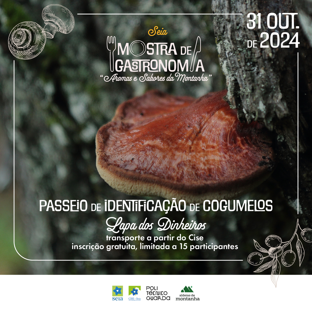 🌲🍄 Integrada na Mostra de Gastronomia “Aromas e Sabores da Montanha“, no dia 31 de outubro, às 10h00, realiza-se um passeio micológico no Souto da Lapa dos Dinheiros. 🌿 Inscrições em visitseia.pt #Gastronomia #Natureza #PasseioMicológico #CogumelosComestíveis