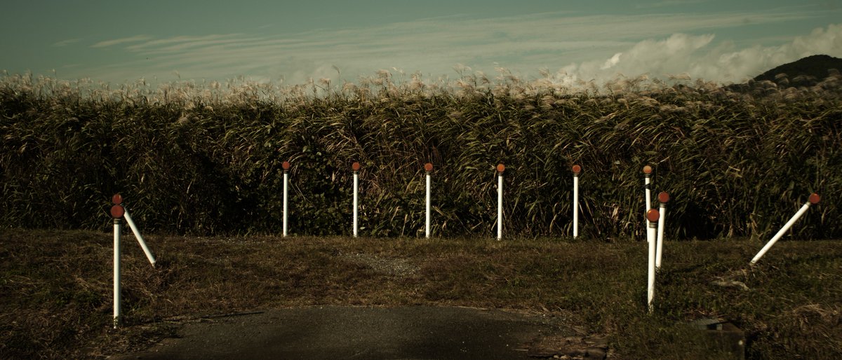 tune_h's tweet image. タクマーさんぽ＠映画チックに21:9
#sigma 
#sigmafpL
#takumar 
#smctakumar28mmf35