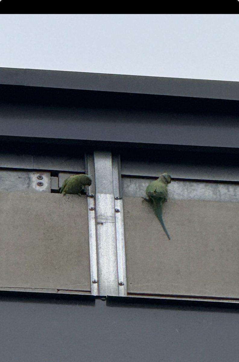 Tracy Blake tweet media