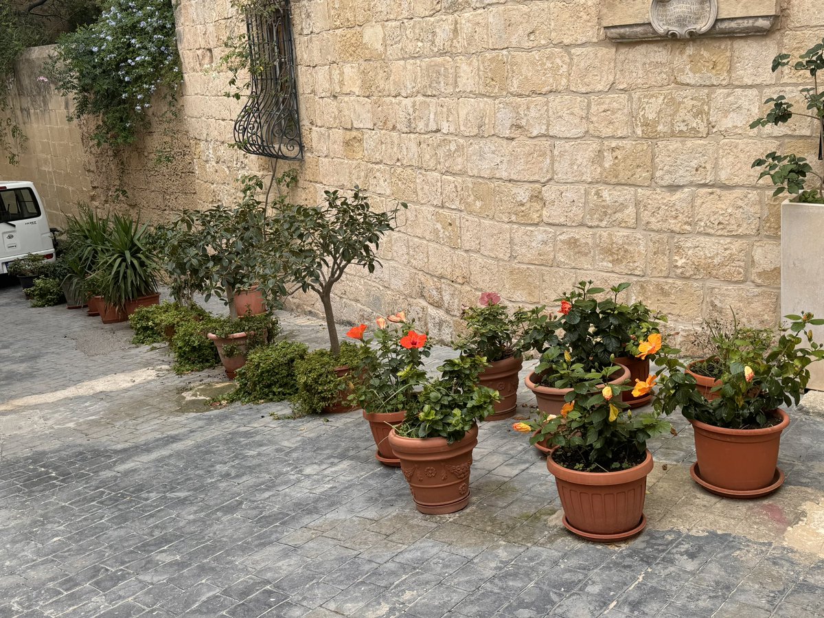 DH_Maintenance's tweet image. Exploring down a #lovely #quaint #side #street in #rabat &amp;amp; came across the #beautifully front #courtyard #splendid ❤️ #malta
